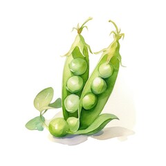 green peas in a pod isolated on a white background, generative ai - obrazy, fototapety, plakaty