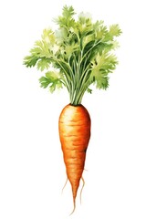 carrot isolated on white background, generative ai