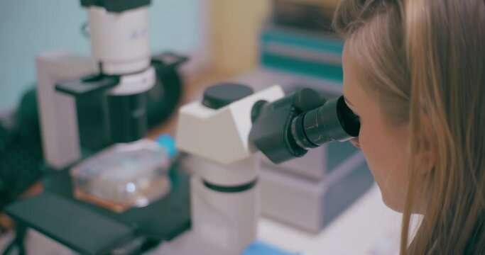 Scientist Working in Medical Laboratory Cancer Research Covic 19 Pandemic