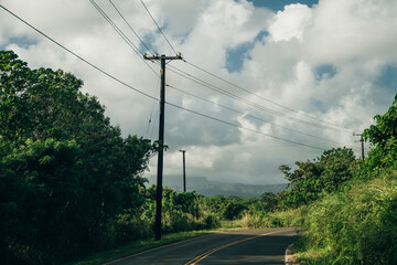 Highway through a lush tropical forest in kauai, hawaii - may 2023