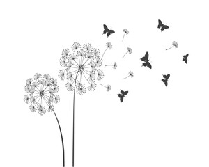 silhouette of a flower dandelion