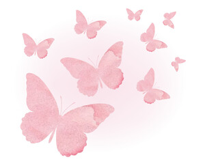 butterflies and flowers