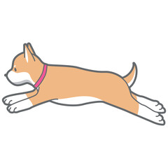 ジャンプする柴犬のベクターイラスト