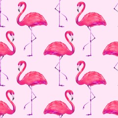 Pattern pink flamingo background watercolor 