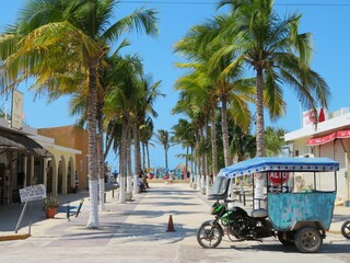 mototaxi in a town of sisal with palm trees - obrazy, fototapety, plakaty