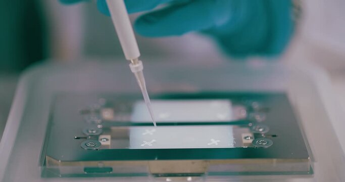 Scientist Working in Medical Laboratory Cancer Research Covic 19 Pandemic