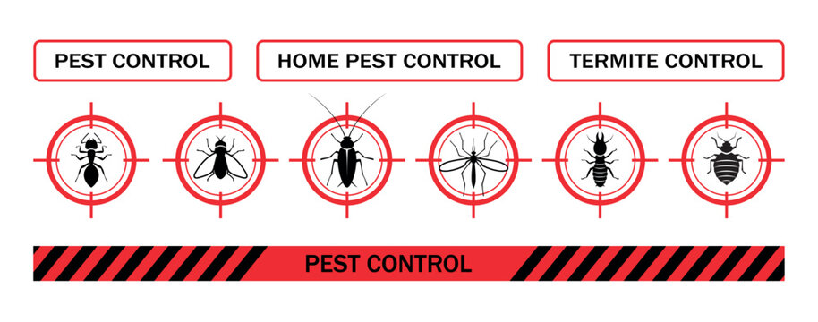 Pest control. Icon set. Insect repellent emblem. Isolated prohibition and warning signs about harmful insects, cockroaches, flies, ticks, termites. Pest and insect control in the home. Isolated