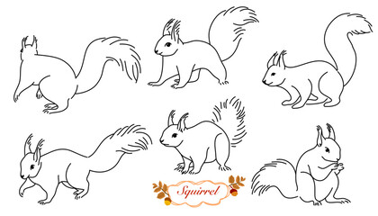 Vector set of squirrel, outline squirrel collection, black calligraphy line art, indifferent position isolated on white background, © The Little Hut