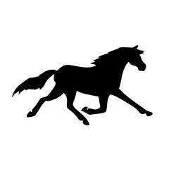 Vector hand drawn trotter horse silhouette isolated on white background