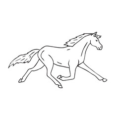 Vector hand drawn doodle sketch trotter horse isolated on white background