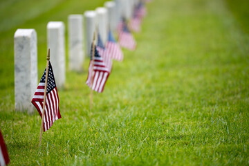 A row of American Flags and gravestones in a National Cemetery - Memorial Day