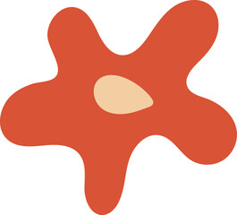 hand drawn boho floral elements