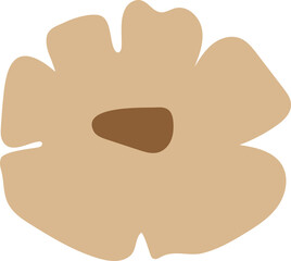 hand drawn boho floral elements