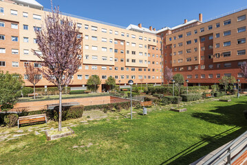 Fototapeta premium Garden common areas with young woodland, condominium wooden