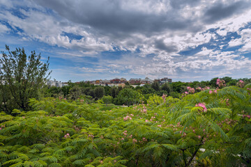 Fototapeta premium A panoramic image of an urban park with a lot of vegetation