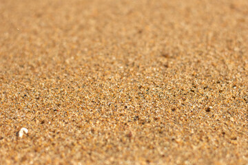 Detail Macro of beach sand