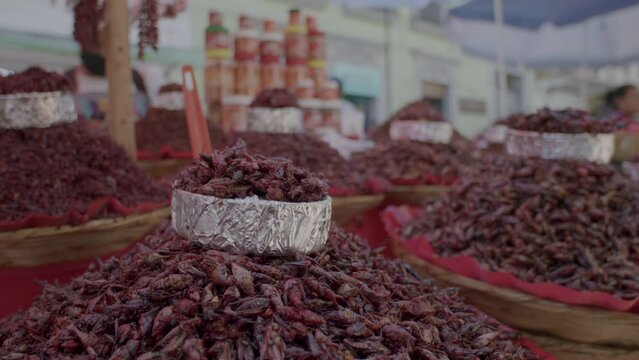 A basket full of crickets that can be eaten as a snack in Oaxaca, Mexico street market