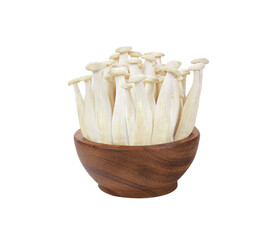 Mushroom in wooden  cup  on   trasparent  png