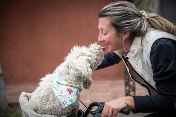 "Exploring the City Together: A Woman and Her Faithful Canine on a Bicycle Journey"