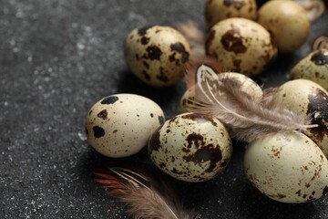 Obraz premium Speckled quail eggs and feathers on black textured table, closeup