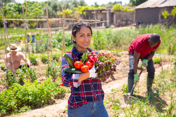 Fototapeta premium Portrait of an happy latino woman with ripe vegetables in his garden