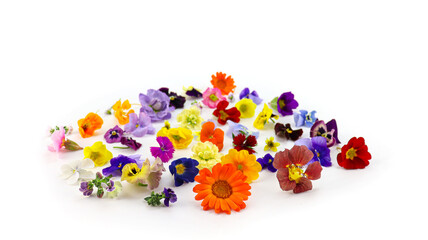 エディブルフラワー　食用花