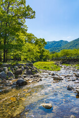 初夏のマキノ高原
