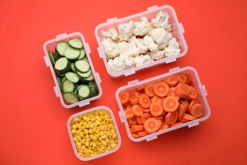 Plastic containers with different fresh products on red background, flat lay