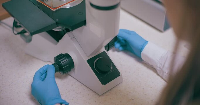 Scientist Working in Medical Laboratory Cancer Research Covic 19 Pandemic
