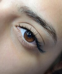 Fototapeta na wymiar close up of eye with eyelash extensions ,beauty salon treatment. High quality photo