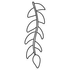 heliconia flower, Tropical flower, summer element, Summer illustration