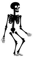human skeleton vector illustration