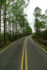 estrada no distrito de Lavras Novas, cidade de Ouro Preto, Estado de Minas Gerais, Brasil