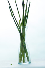 Twigs, trunks used to decorate in bouquets