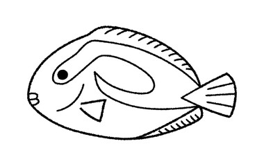 ナンヨウハギのベクター線画イラスト