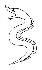 ハナヒゲウツボのベクター線画イラスト