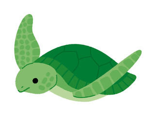 ウミガメのベクターイラスト