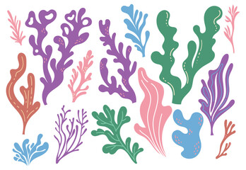 coral reefs and seaweed doodle design element © mhatzapa
