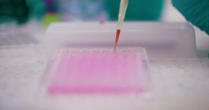 Scientist Working in Medical Laboratory Cancer Research Covic 19 Pandemic