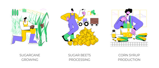 Sugar production isolated cartoon vector illustrations set. Sugarcane growing, crop cultivation, farmer processing sugar beets, corn syrup making process, agribusiness worker vector cartoon.