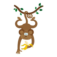 Jungle monkey. Cute animal with banana in its hands hangs on tree branch. Adorable character hangs on liana up set down on his tail. Cartoon flat vector illustration