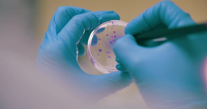 Scientist Working in Medical Laboratory Cancer Research Covic 19 Pandemic