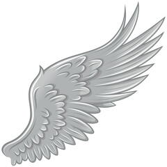 Angel wings vector design