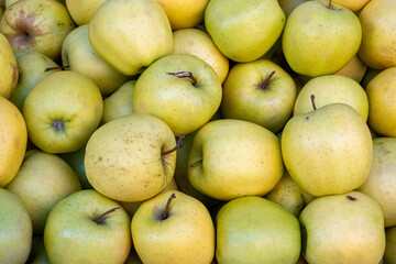 Green apples for sale at a market