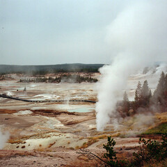 geyser Yellowstone National Park