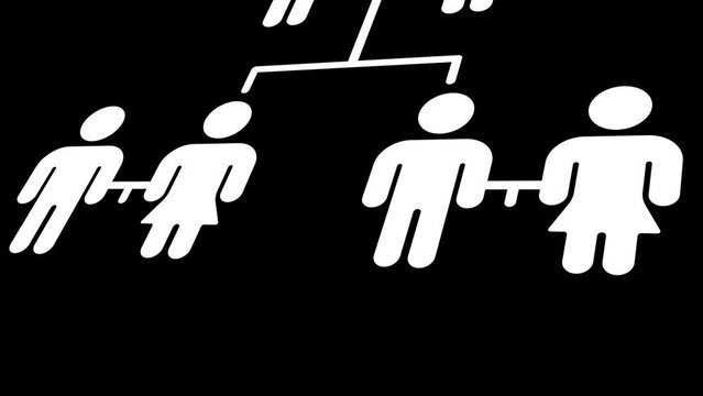 Family Tree Cinematic Motion Graphic