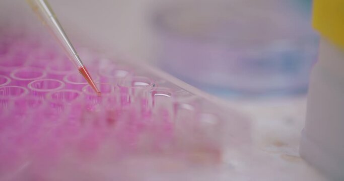 Scientist Working in Medical Laboratory Cancer Research Covic 19 Pandemic
