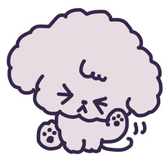 耳を掻くトイプードルの犬