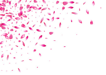 Purple Flower Petal Vector White Background.