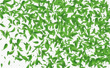 Mint Greens Ecology Vector Transparent Background